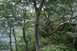 【EVENT】11/21 19:30 幻想童話写真集『The World Above』刊行記念 「ニュートットリ・ナイト」