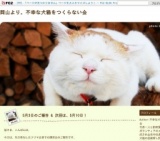 犬猫譲渡会（岡山より。不幸な犬猫をつくらない会）