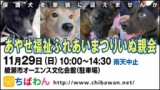 保護犬を家族に迎える譲渡会「ちばわん　あやせ福祉ふれあいまつり　いぬ親会」