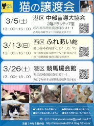 3月13日(日)猫の譲渡会 みなと猫の会