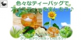 7/9(土)新宿ミニセミナー「ティーバッグで色々なアイスティーを楽しもう♪」