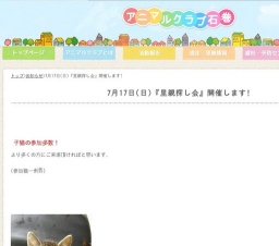 猫の里親探し会