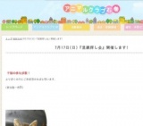 猫の里親探し会