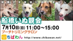 7月10日 ちばわん『船橋いぬ親会』開催のお知らせ
