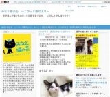 8月7日(日)猫の譲渡会 みなと猫の会主催※子猫多数参加！