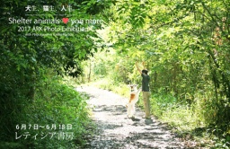 犬生、猫生、人生。〜Shelter animals ♥ you more〜