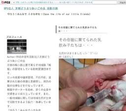 梅小路公園手づくり市