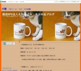 保護猫カフェ「ひめねこ」 