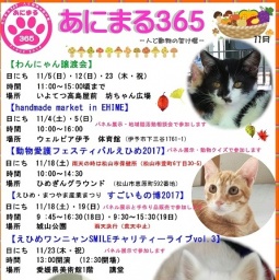 わんにゃん譲渡会