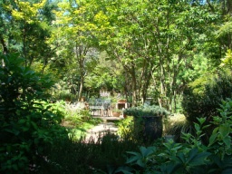 日本手話講座（金曜・昼コース）