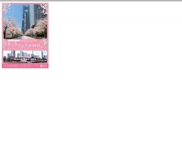 横浜みなとみらい21公式ウェブサイト | みなとみらい21さくらフェスタ2010