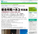 「まるごと猫フェスティバル」＆岩合光昭のネコ写真展