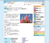 高島ふれあいハイキング〜ルピナス園を訪ねて〜