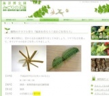 植物のクラフト作り「風車を作ろう！虫かごを作ろう」