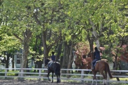 2010/12/11　乗馬＆BBQパーティー！【佐久】所沢発！