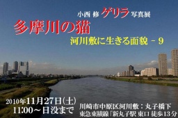 小西 修 写真展『多摩川の猫 河川敷に生きる面貌－9』