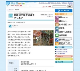 彦根城で除夜の鐘をつく集い