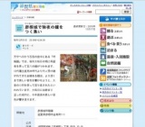 彦根城で除夜の鐘をつく集い