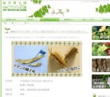 植物のクラフト作り「アダンで親子舟を作ろう！ソテツで虫かごを作ろう」