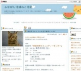 にゃんにゃんセミナー