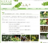 苗木の無料配布します！