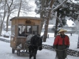 雪見こたつ馬車～冬の青森を車窓から～