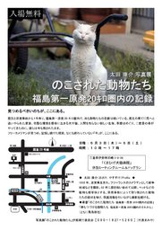 のこされた動物たち@伊勢