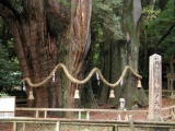 大杉どぶろく・秋の収穫祭