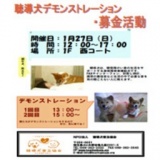 聴導犬デモンストレーション・募金活動