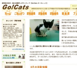 子猫・若猫譲る会