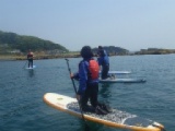 【平日アウトドア　スタンドアップパドルボード（SUP)体験♪in湘南】社会人サークルFEAD