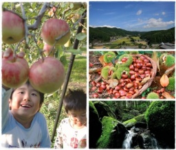 みつせ高原キャンペーン