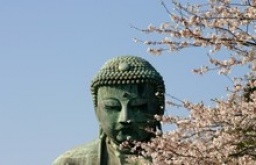 【婚活】大人の鎌倉散策（鎌倉） ～古都で季節を感じるスローな旅～