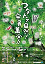 夏季企画展「つなんの自然！全員集合!!」