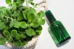 7/9（土）【募集中】横浜元町で手軽に創れるスプレー作りを開催します