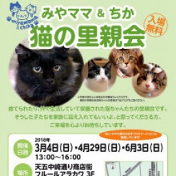 猫の里親会
