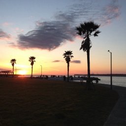 SUPYOGA and SUPcruising SUPsurfing