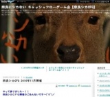 奈良にシカない キャッシュフローゲーム会 : 奈良シカCFG 2016年11月開催