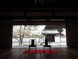 3日間限定！大本山百萬遍知恩寺 春の特別公開