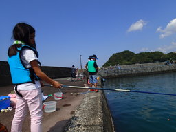 お手軽 堤防釣り