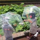 【静岡市・葵区】魔法のチョークで描こう♪オリジナル傘作り 