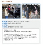 牛さんの飼育係になろう