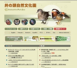 資料館特設展「WONDER HUT──どうぶつのふしぎがいっぱい」開催