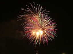 【サークル活動】江東花火大会観覧