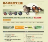 3/12「大人のためのゆったりガイドツアー」参加者募集