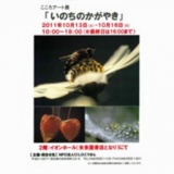 こころアート展『いのちのかがやき』