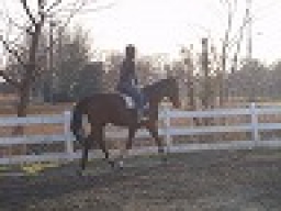 祭日アウトドア 本格乗馬体験  アウトドア社会人サークルFEAD