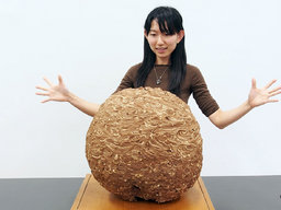特別展講演会「スズメバチはヤバい！？」