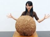 特別展講演会「スズメバチはヤバい！？」