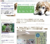 ふれあいわんにゃん譲渡会＆フリマin盛岡ホコ天